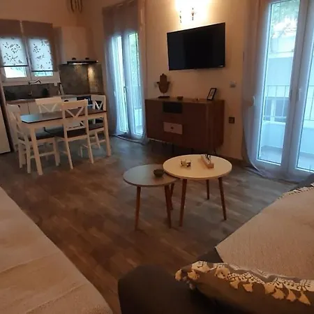 公寓 Central Apartment 帕蒂迪里奥