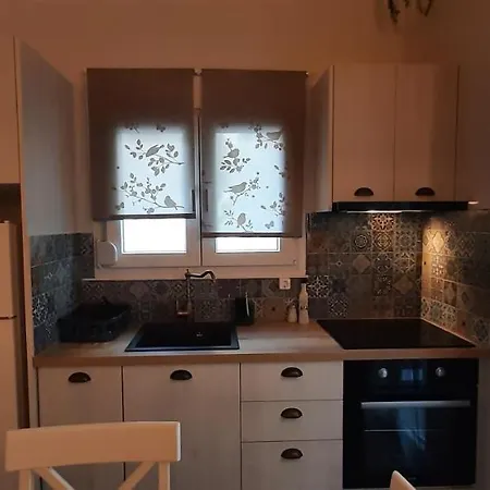 Central Apartment